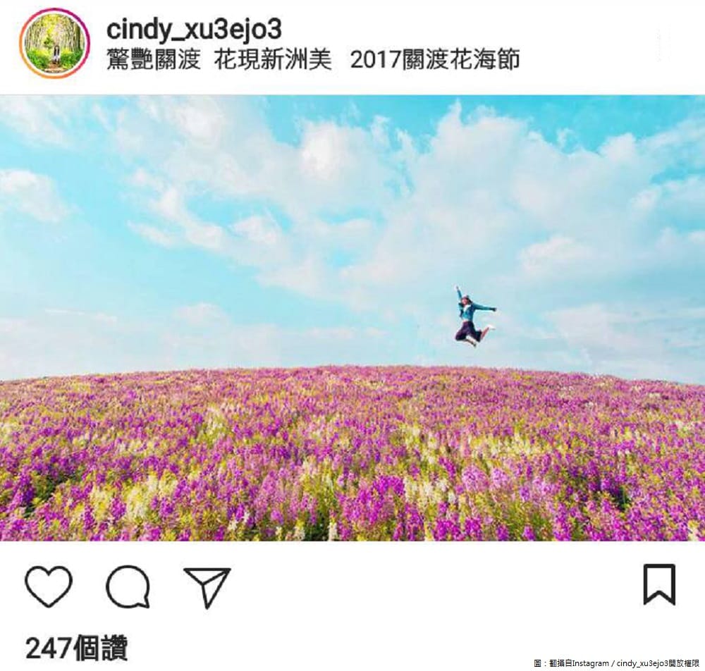 大家不妨趁著空閒時間，也到這些台北花海中，拍出屬於自己的美照吧！ 圖：翻攝自Instagram／cindy_xu3ejo3開放權限