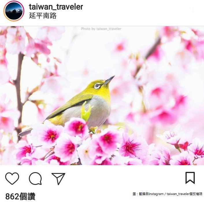 這張鳥語花香的照片，真的很有意境！ 圖：翻攝自Instagram／taiwan_traveler開放權限