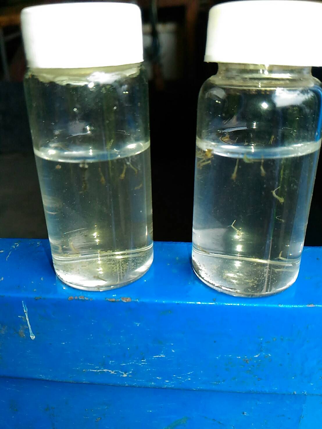 如果無法避免於病媒蚊孳生地點等高風險環境活動，應著淺色長袖衣褲，並於身體裸露處使用政府核可的防蚊藥劑，避免感染。 圖：高雄市衛生局／提供