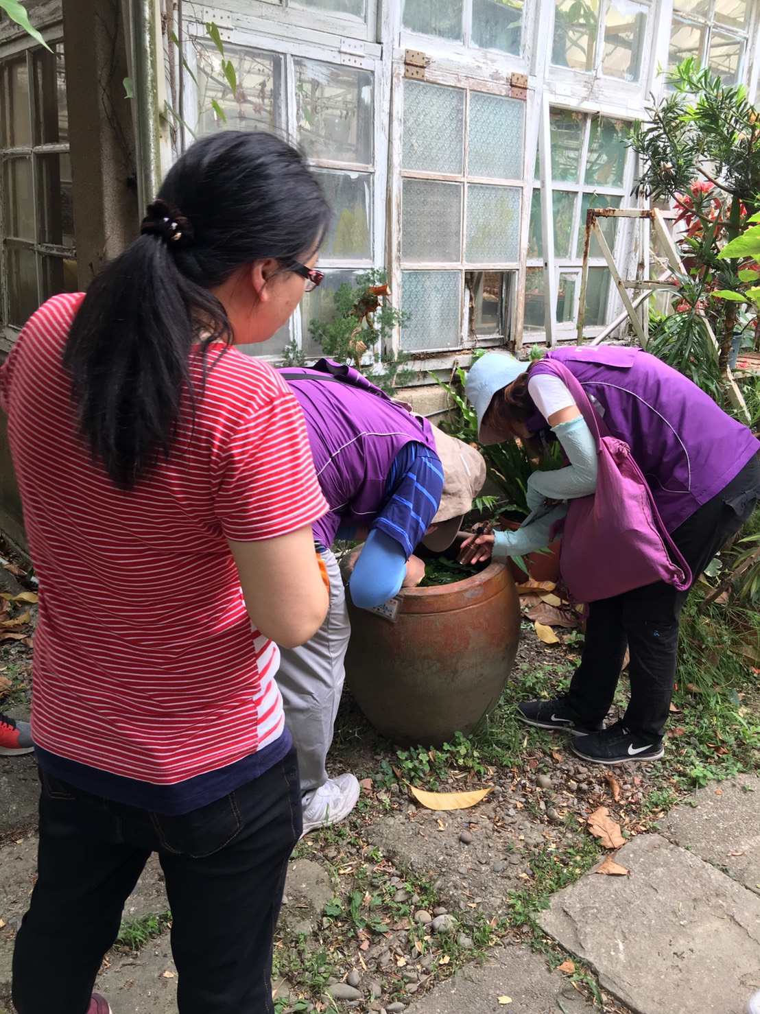 台北市衛生局派員至校園進行病媒蚊密度調查。 圖：台北市衛生局／提供