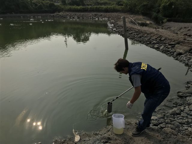 環保局人員也在養鴨場水池取樣送驗。 圖：高雄市環保局/提供