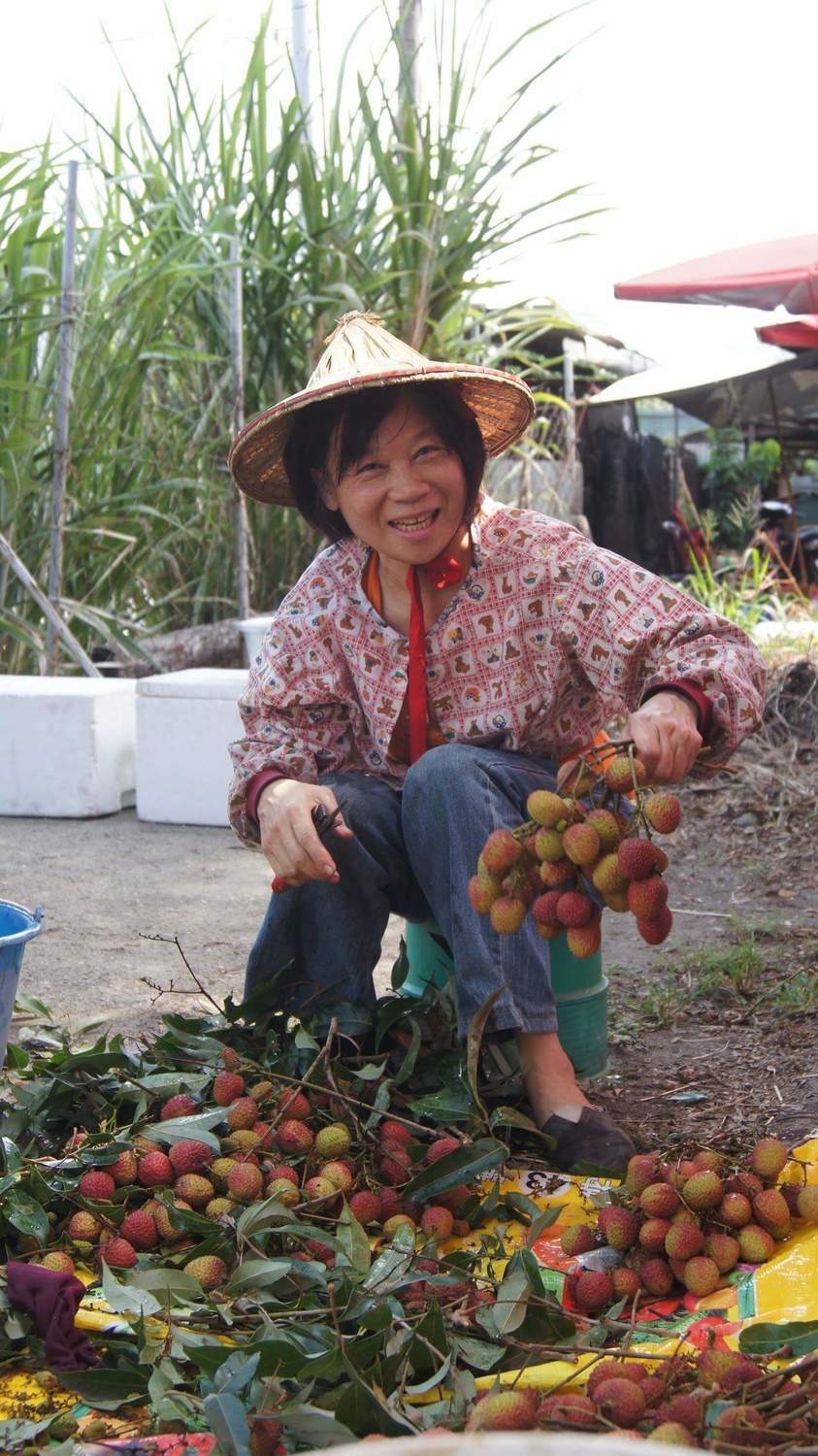 因為農民用心的栽種，讓世界都知道台灣是水果王國。 圖：陳其邁辦公室提供