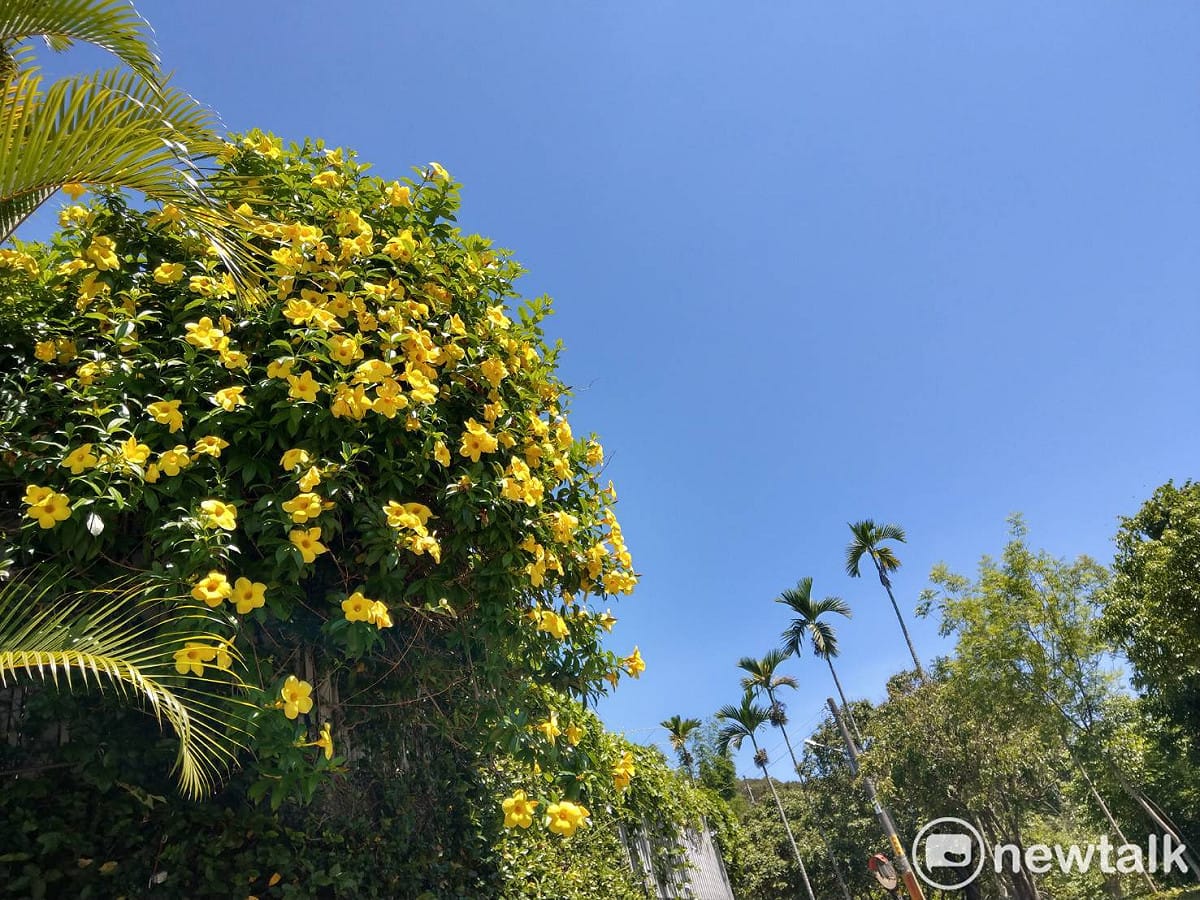 太平洋高壓勢力強，全台晴朗炎熱，台中大坑地區也飆出高溫。 圖 : 陳奕/攝