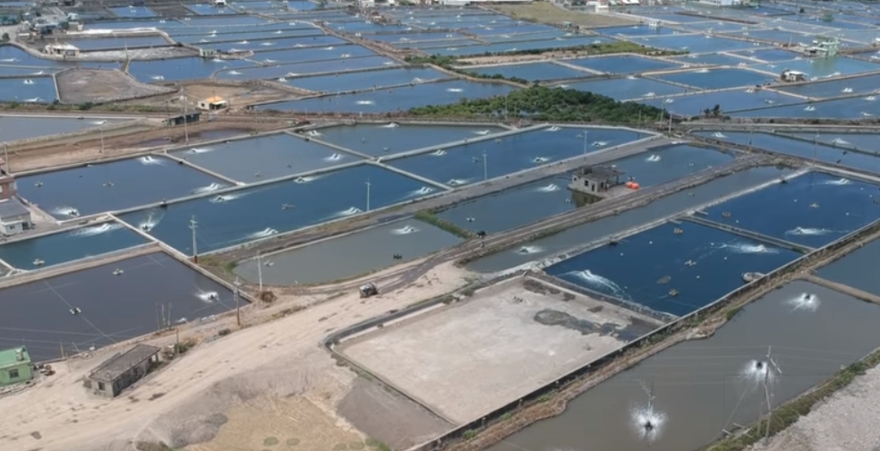 屏東縣枋寮鄉人和村日前一處魚塭遭人回填不明廢土，由於位於養殖重鎮，不少人擔心周圍養殖池塘也有可能遭受汙染。農委會漁業署在今(28)天公布首波化驗結果，各項重金屬物質均未超出衛生福利部所規定之標準安全值，民眾可以安心食用。 圖：翻攝自Youtube