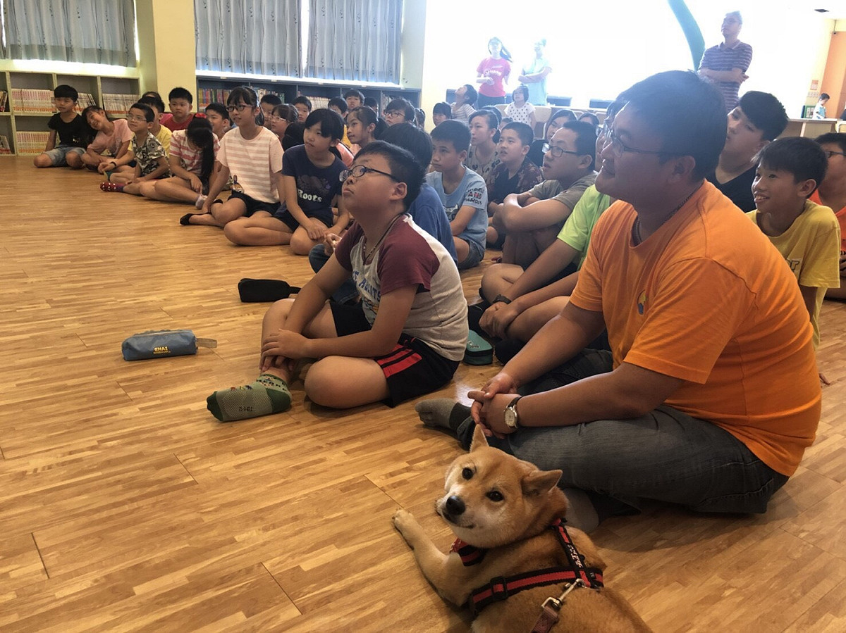 網路人氣柴犬「小米」第一次來到甲安埔，與國小師生們互動。 圖 : 施志昌/提供