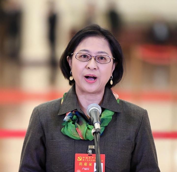 外媒近日創出「脫台者」一詞，被指為脫台者之一的上海台聯會長盧麗安今天說，「這個詞很不好，請媒體不要用」，她認為這個詞反映的是冷戰思維。 圖 : 翻攝自搜狐