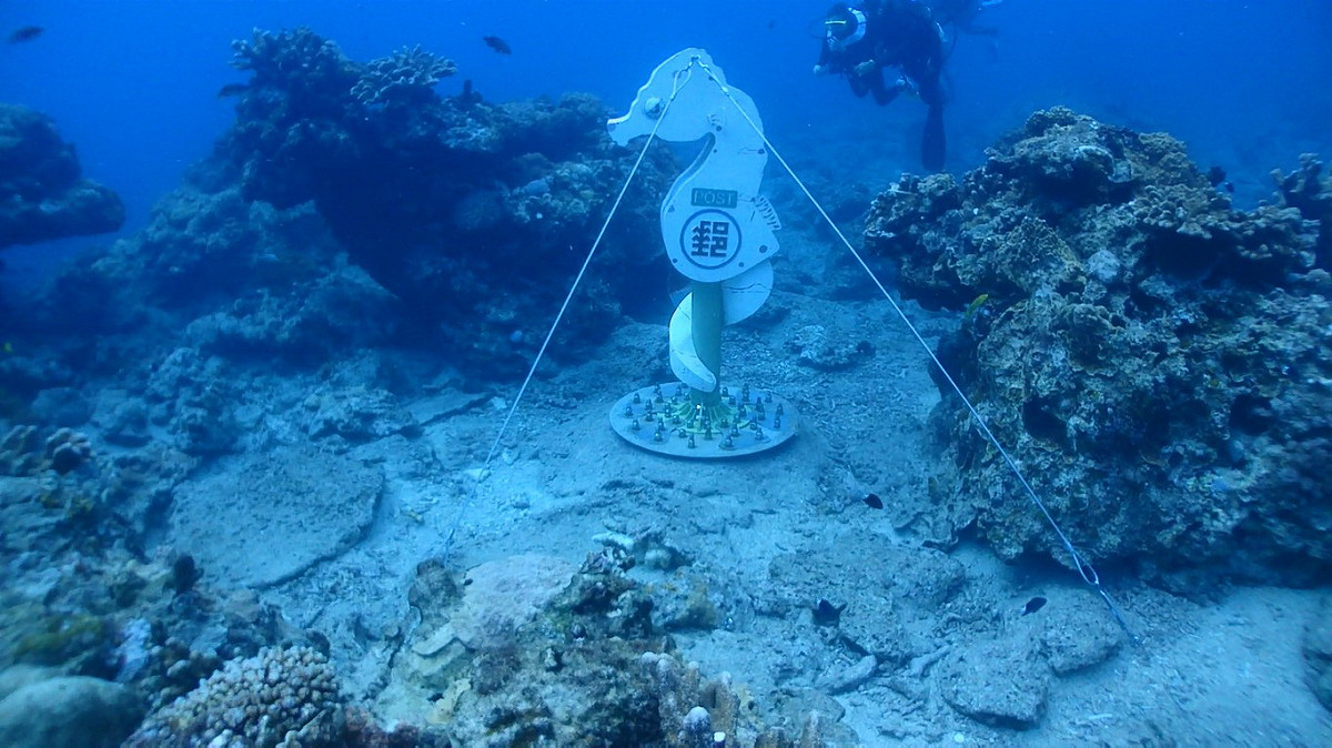 台東綠島的海底郵筒6月3日起暫停營業，預估至少需要一個星期的休養期，請遊客勿前往投信。 圖：台東縣政府／提供