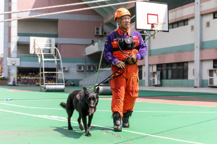 桃園消防局在研習期間派出救難犬一同演練。 圖：桃園市政府/提供