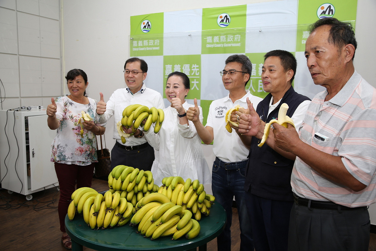 嘉義縣長張花冠與官員一同品嘗香蕉。 圖 : 嘉義縣政府/提供