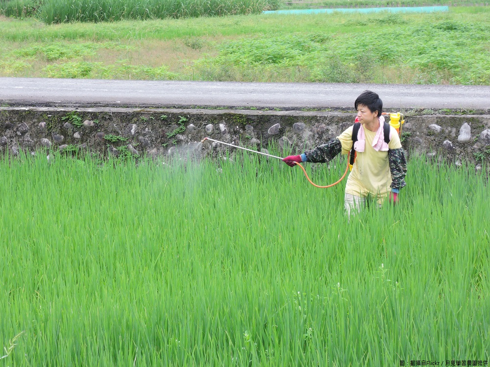 網傳「農藥殘留容許量提高1000倍」的圖表，食藥署闢謠所發布為各國對於單一農藥在特定農作物上的標準可能有高有低，所以食藥署署呼籲勿信謠言，請大家不要再轉傳。 圖：翻攝自Flickr／月見學習農園開放權限