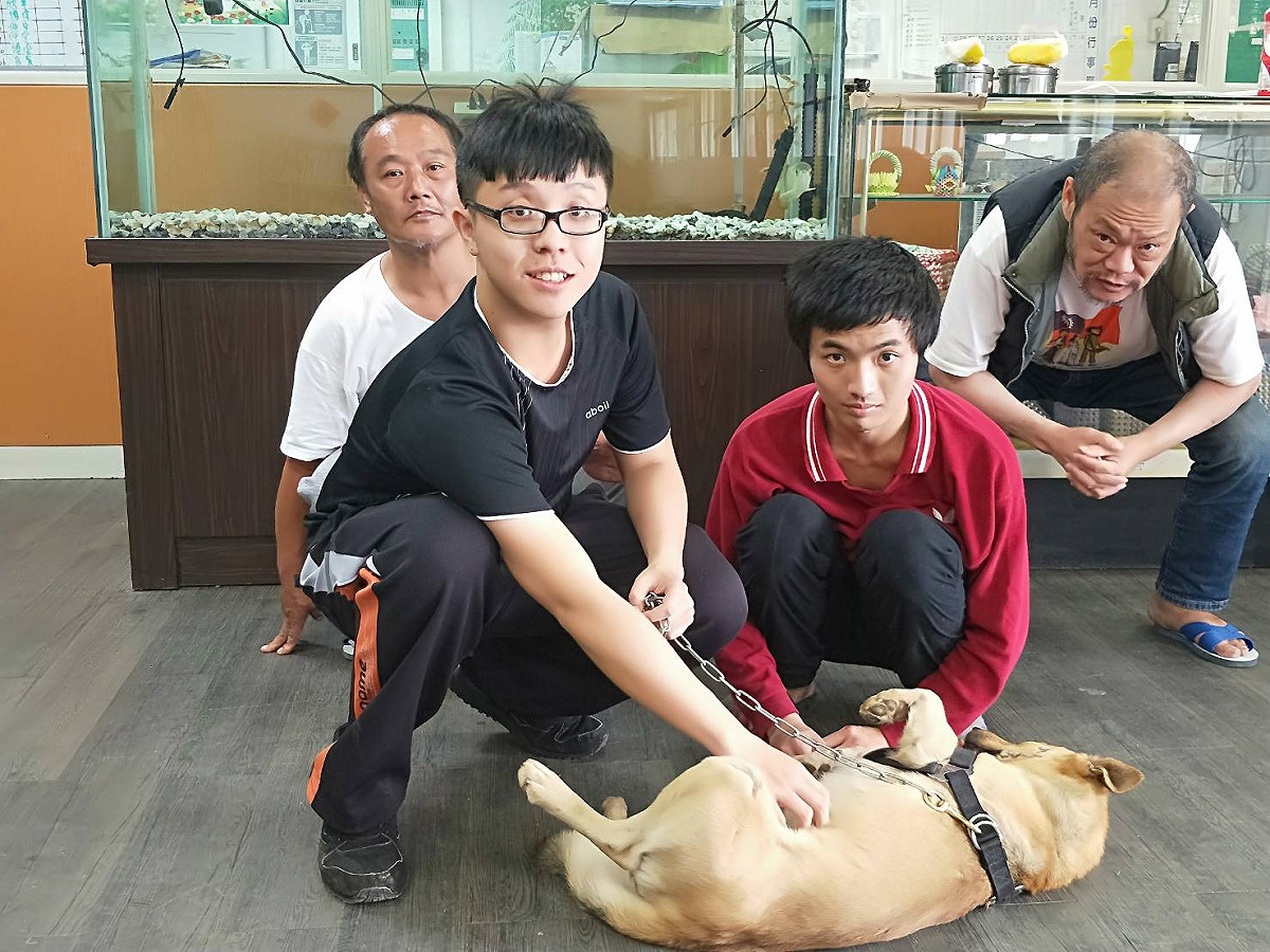 動保處表示，希望能夠透過餵食或帶狗狗去散步等簡單的動作，鼓勵年長者多多活動筋骨。 圖：新北市政府／提供