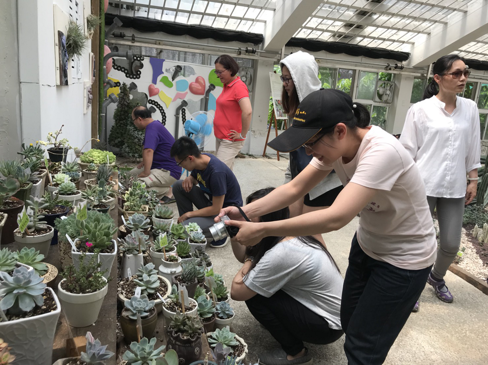 台北市工務局公園處在花卉試驗中心多肉植物溫室展出各式各樣多肉植物，展期倒數最後3天只到6月15日。 圖：台北市工務局／提供