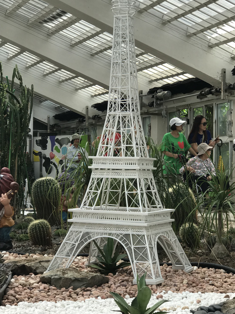 現場有上百種多肉植物，而且地中海風格的藍白溫室還有許多拍照打卡景點等著遊客留影。 圖：台北市工務局／提供