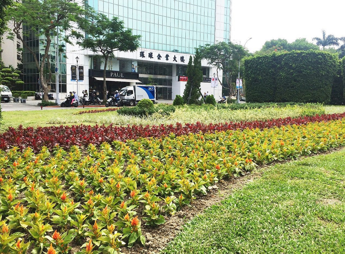 公園處創意發想，以龍舟比賽意象佈景，搭配以夏堇、小百日草和矮牽牛組成的波浪，煞似龍舟破浪前進一般。 圖：台北市政府提供