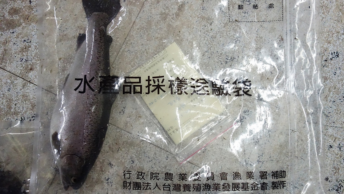 農業局提醒，養殖戶務必遵守水產動物用藥品使用規範。 圖：新北市政府／提供