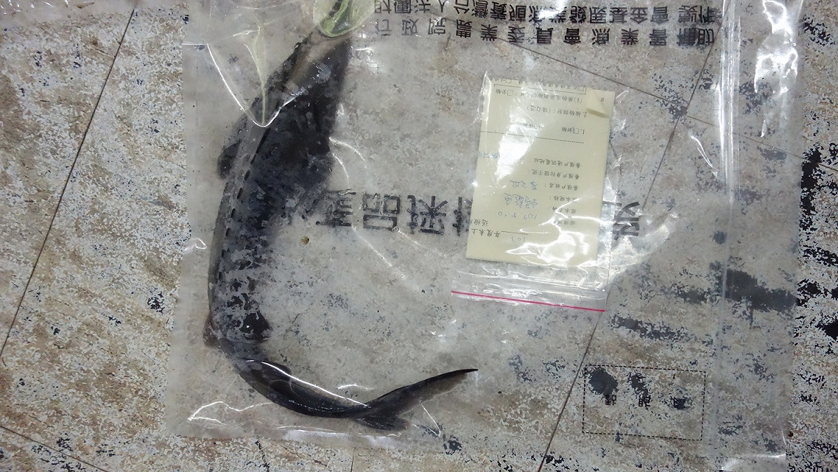 養殖戶若違反動物用藥品法規，可遭罰3萬元至15萬元的罰鍰。 圖：新北市政府／提供