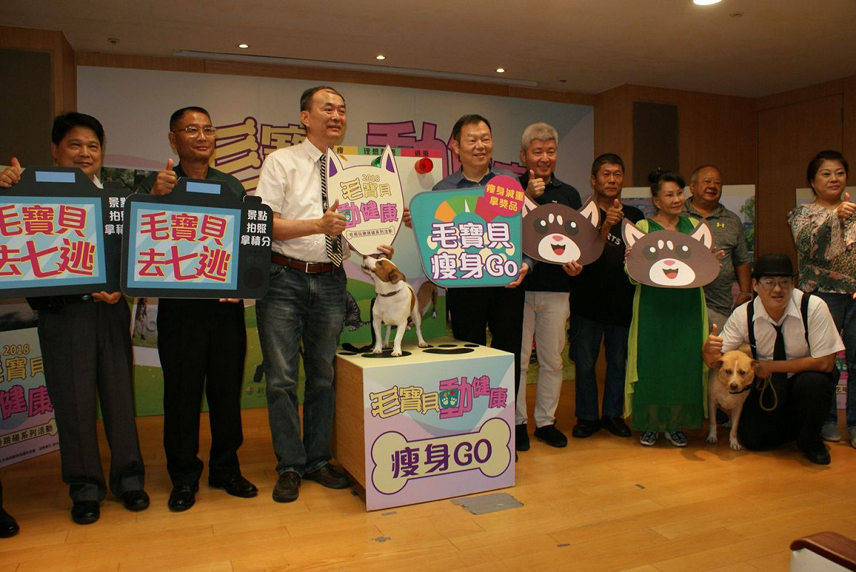 系列活動系列活動有「毛寶貝去七逃」、「毛寶貝瘦身go」及「毛寶貝動次動運動會」3個主題。 圖：新北市動保處／提供