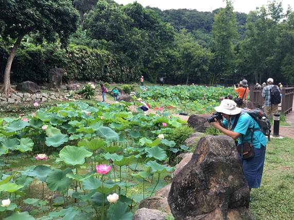 至德園公園為民國84年國立故宮博物院美化園區四周，又名為臨溪公園，中國園林風格及荷花池為整座公園最大之特色。 圖：台北市工務局提供