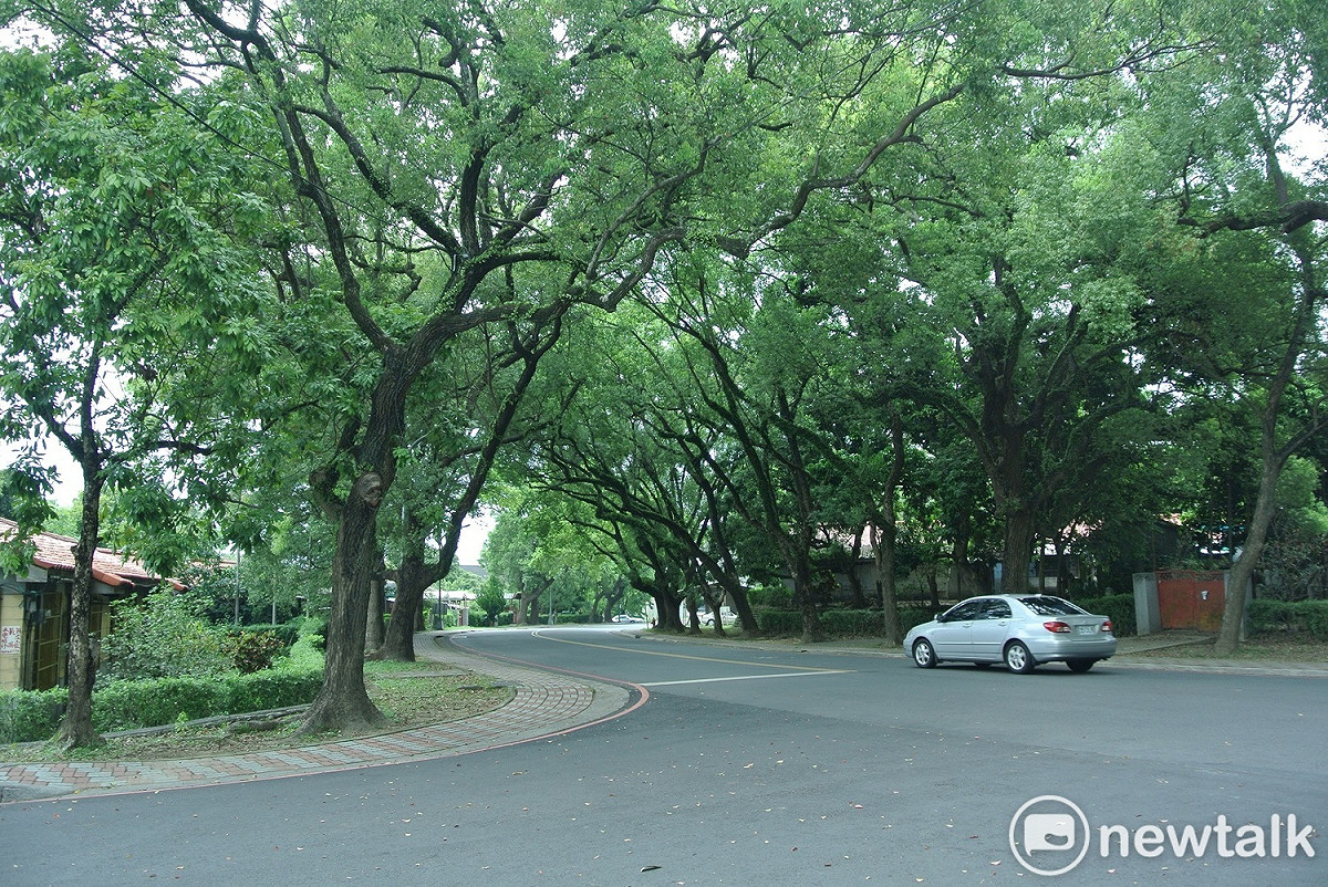 中興新村景色優美。 唐復年/攝