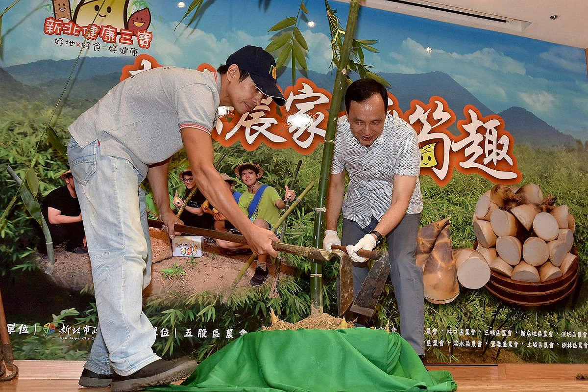 新北市政府將於七月中旬舉辦田間廚房採筍一日遊活動。 圖：新北市政府／提供