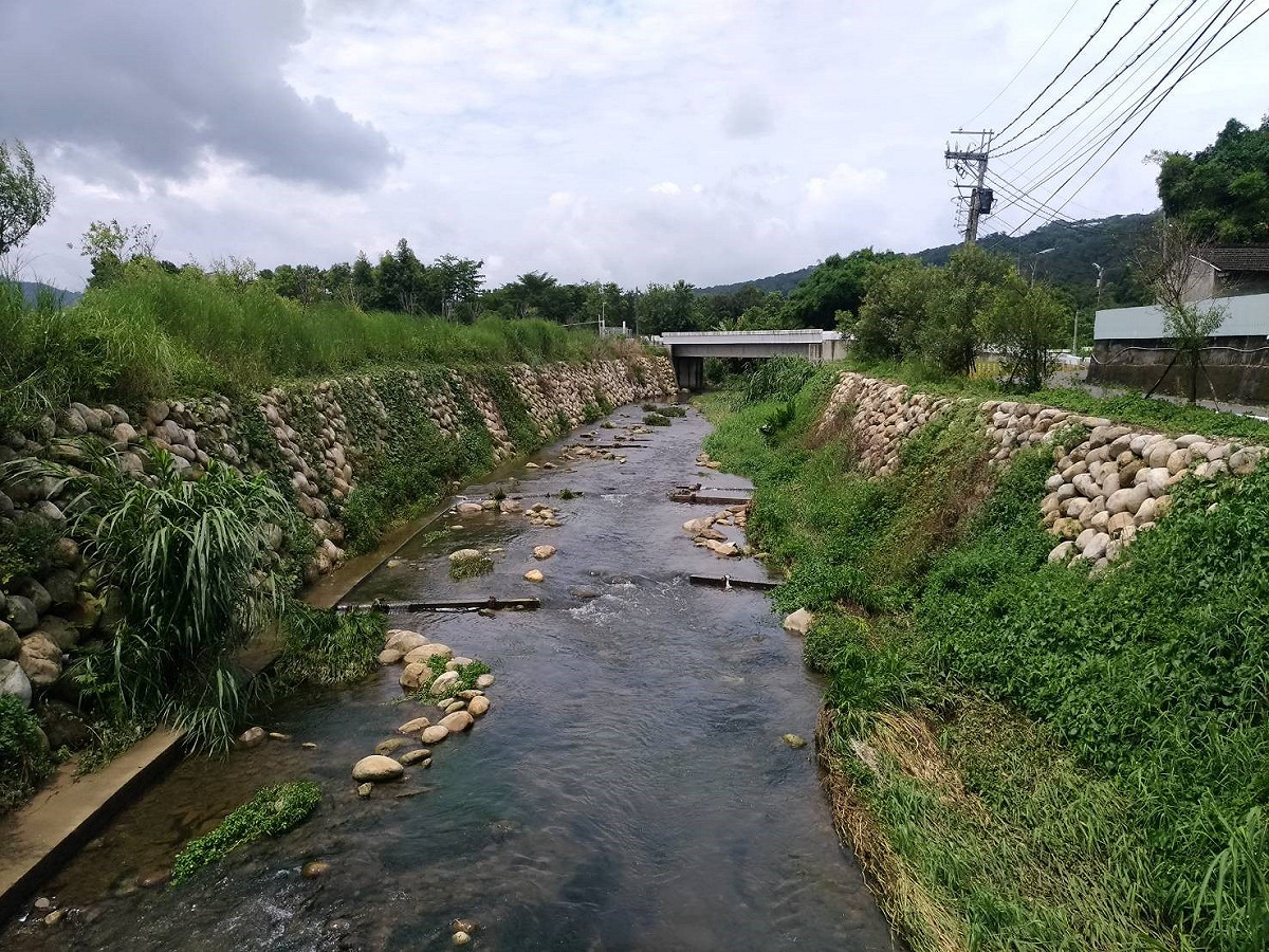 經過整治後的食水嵙溪，水域生態環境也變好了。 圖：台中市政府/提供
