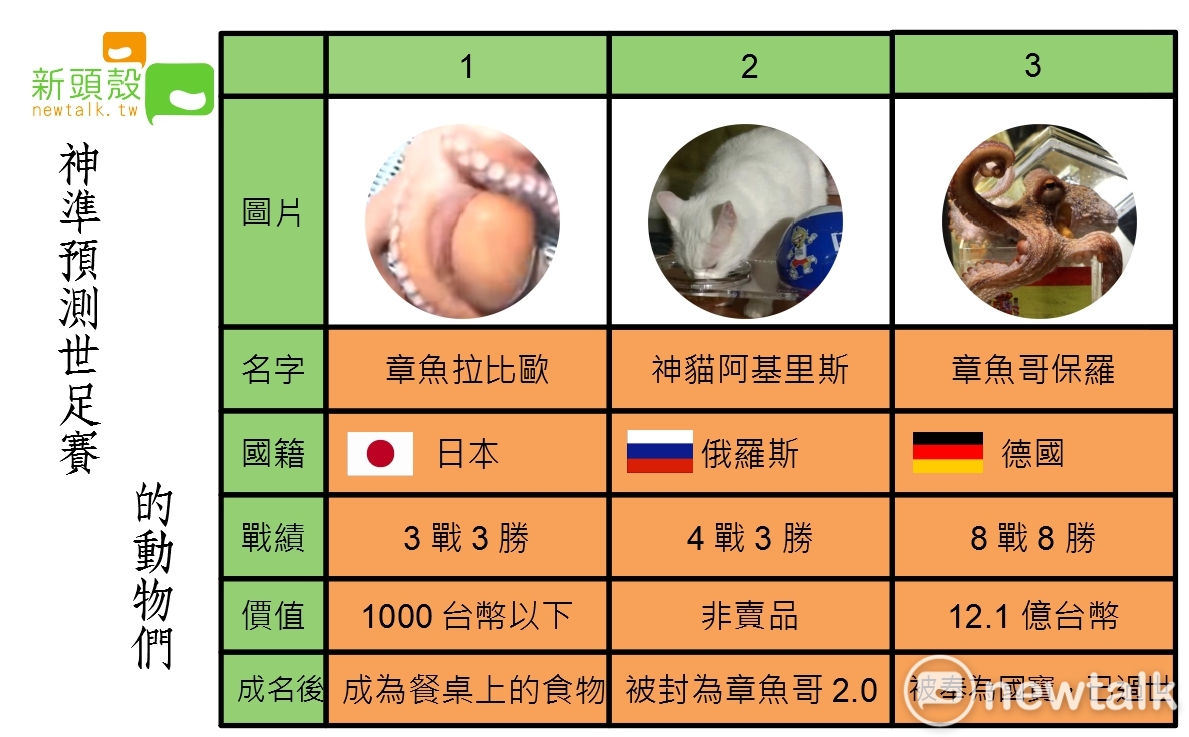 2010年起，德國章魚哥保羅超神準預測，也帶起後面的動物預測風潮。 圖：沈傳恩製作