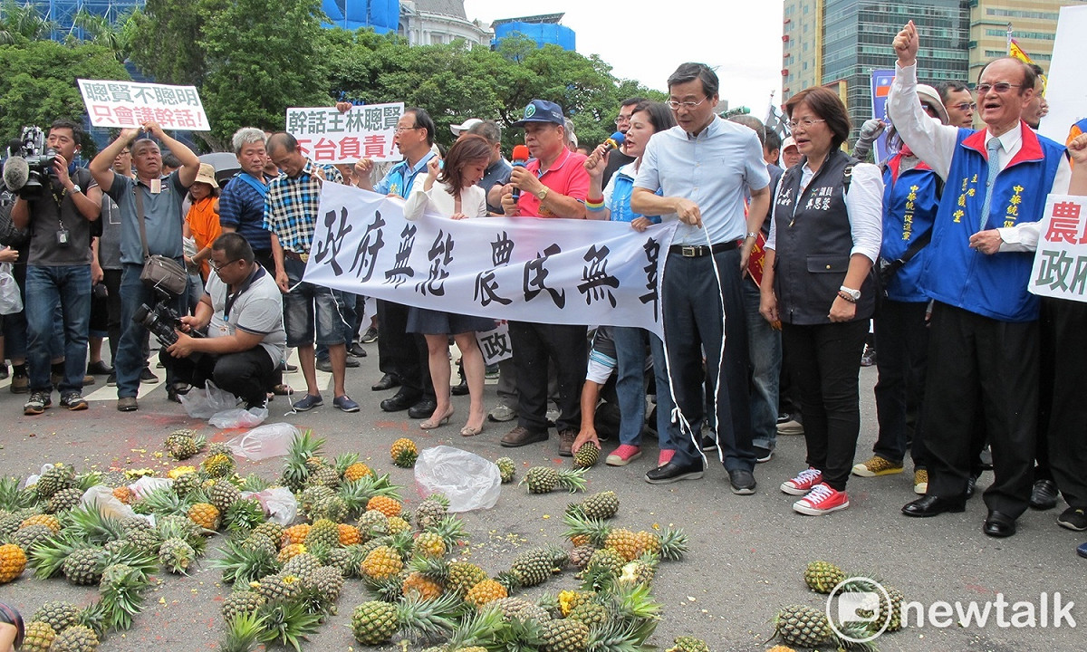 北上抗議的鳳梨農民與國民黨立委4日將產銷過剩的鳳梨砸在行政院門前。 圖：林朝億/攝