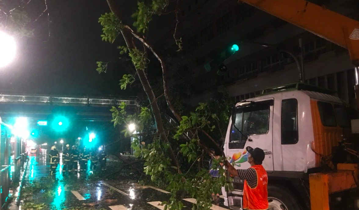 趁雨勢趨小，先出動大型吊具清理斷枝。 圖：台北市工務局／提供