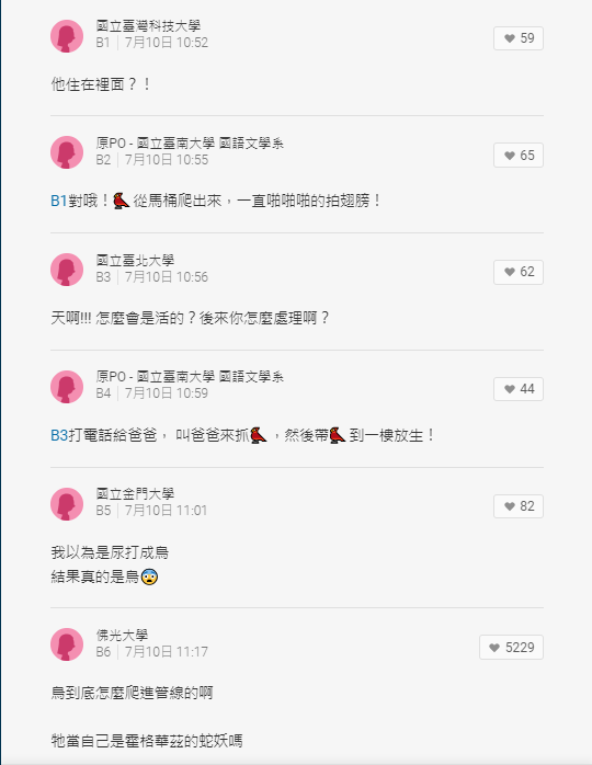 網友們看了後也紛紛嘖奇留言。 圖：截取自Dcard