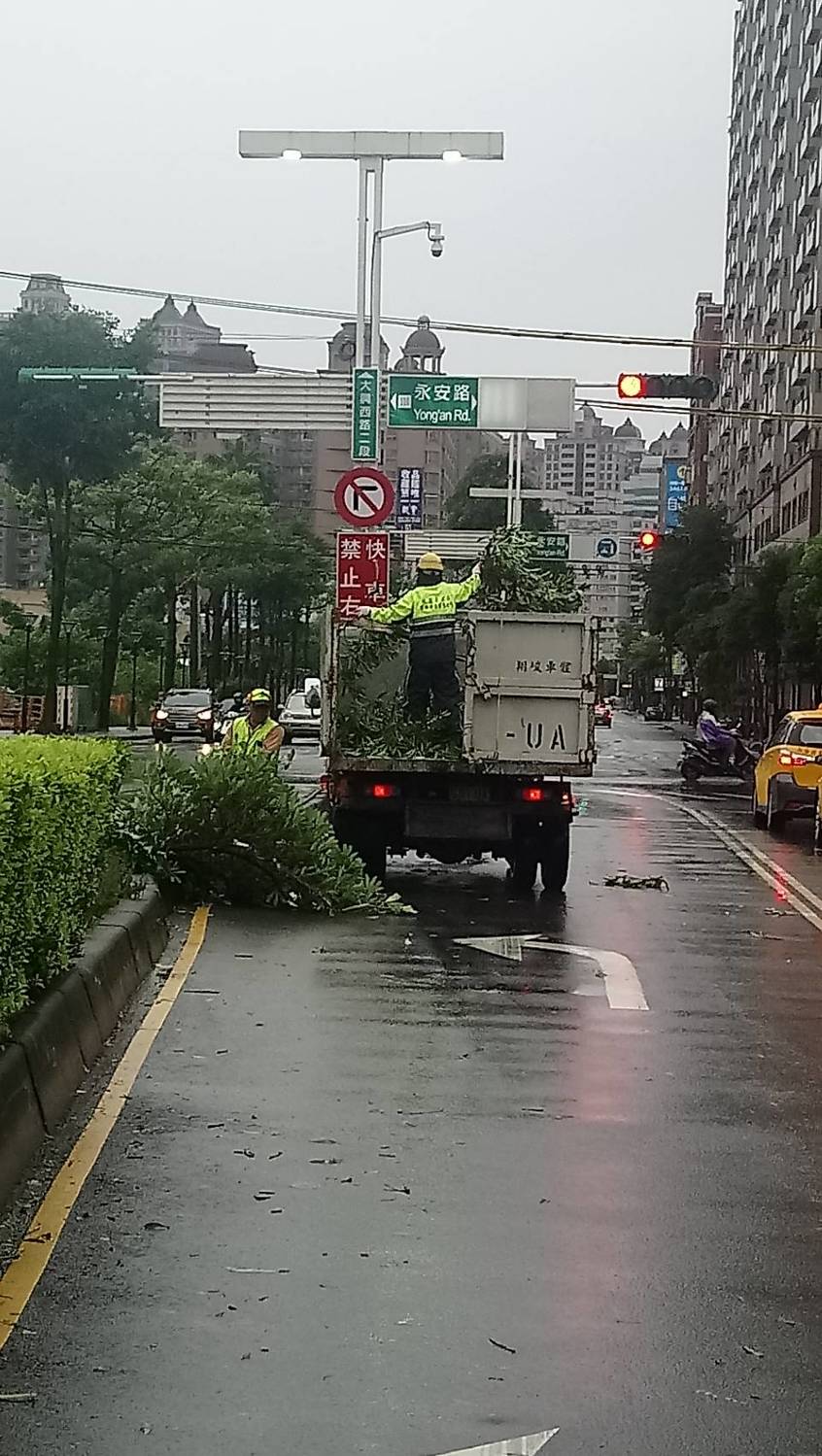 瑪莉亞颱風過境，桃園市未傳出嚴重災情，但仍造成路樹傾倒及枝葉散落，路面亦有廢棄物掉落影響環境。 圖:林昀真/攝