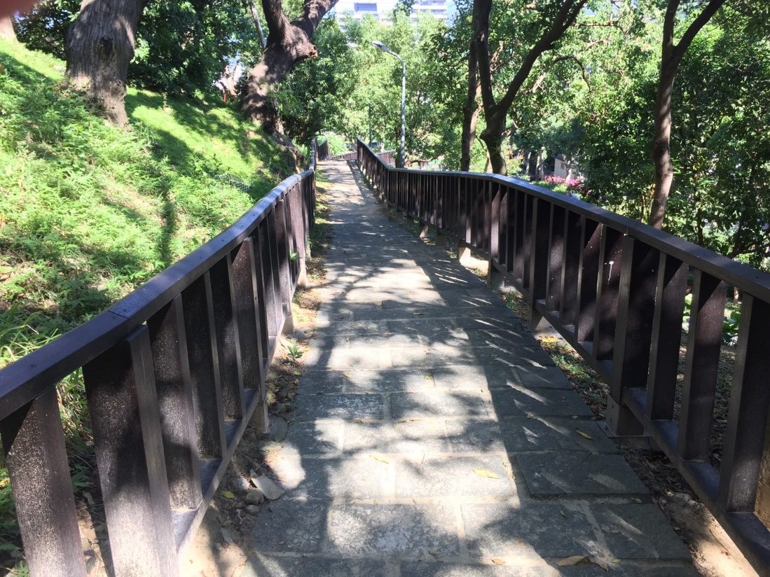 福志公園除了特色的遊具外，還有具挑戰性的登山步道，加上公園內許多成蔭的大樹，如大王椰子、鳳凰木、楝樹及樟樹交錯在步道上。 圖：台北市工務局提供