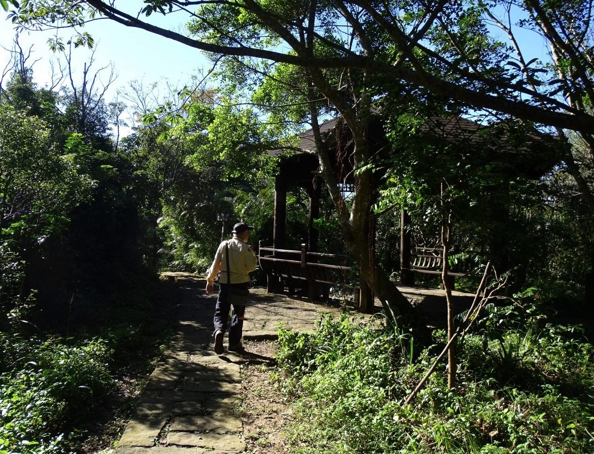 大崙尾山頂六角涼亭，是親山健行途中避暑的絕佳地！ 圖：台北市工務局提供