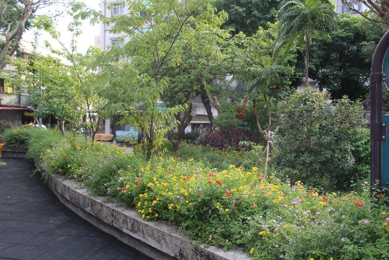 原來是因為有當地聯成里辦公處投入認養，並加上聯成里的沈長慶里長常常宣導里民正確的生態觀念，曾能讓周邊花卉如此盛開。 圖：台北市工務局提供