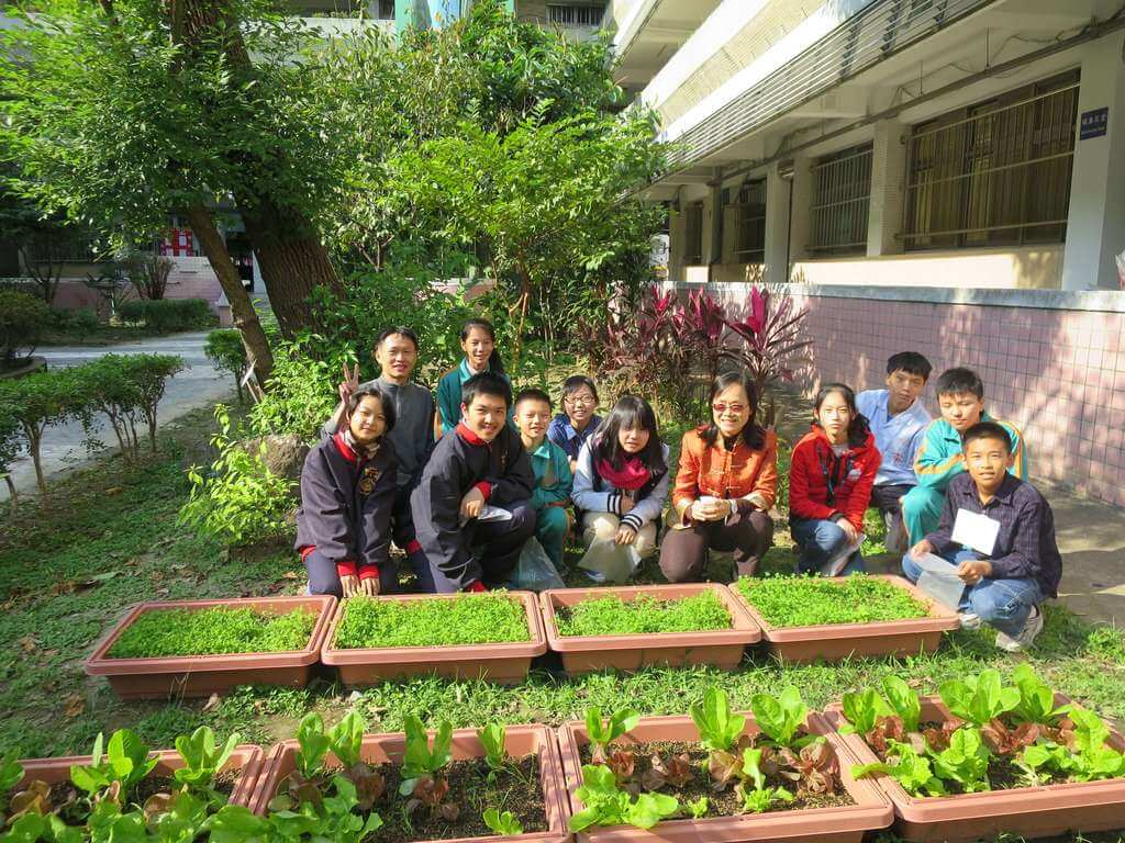 國產署同意撥空地種菜，柯p田園城市將實現。 圖：台北市政府工務局／提供
