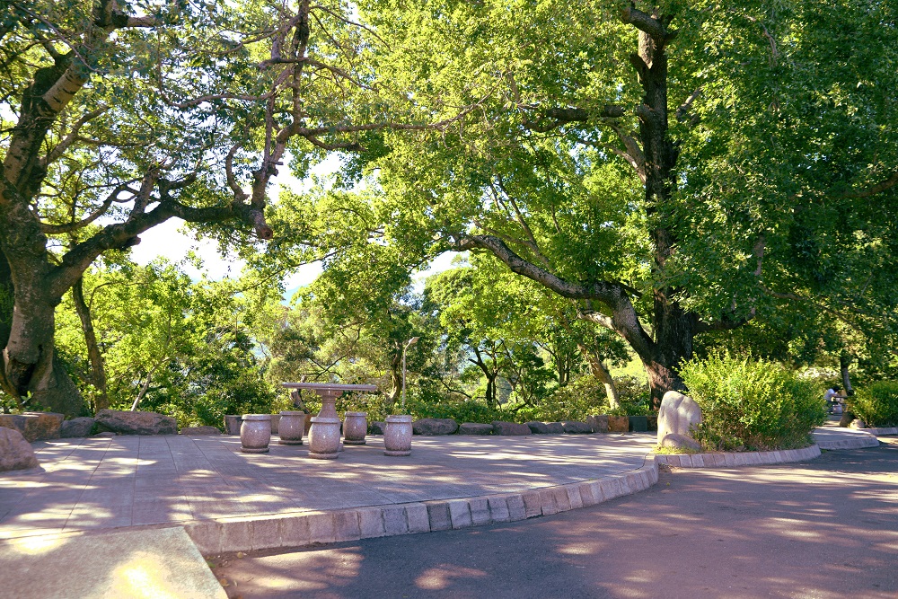 橫嶺古道步行途中會經過歷史悠久的楓香姊妹樹平台，是供山友休息的歇腳處。 圖 ：台北市工務局提供