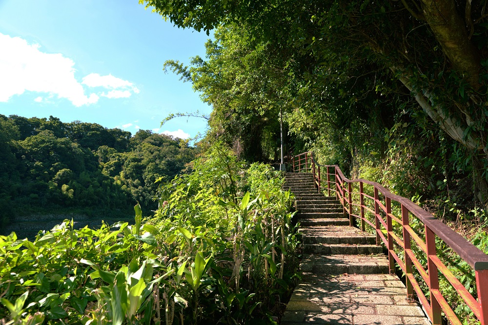 沿著湖底路往湖山路方向的橫嶺古道步行，紗帽山緩緩向上，古道平緩起伏不大，沿途各式植栽解說板提供山友。 圖 ：台北市工務局提供