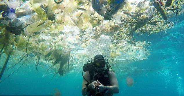 潛水夫記錄峇里島海中飄滿了垃圾。 圖 : 翻攝自ohwo.com
