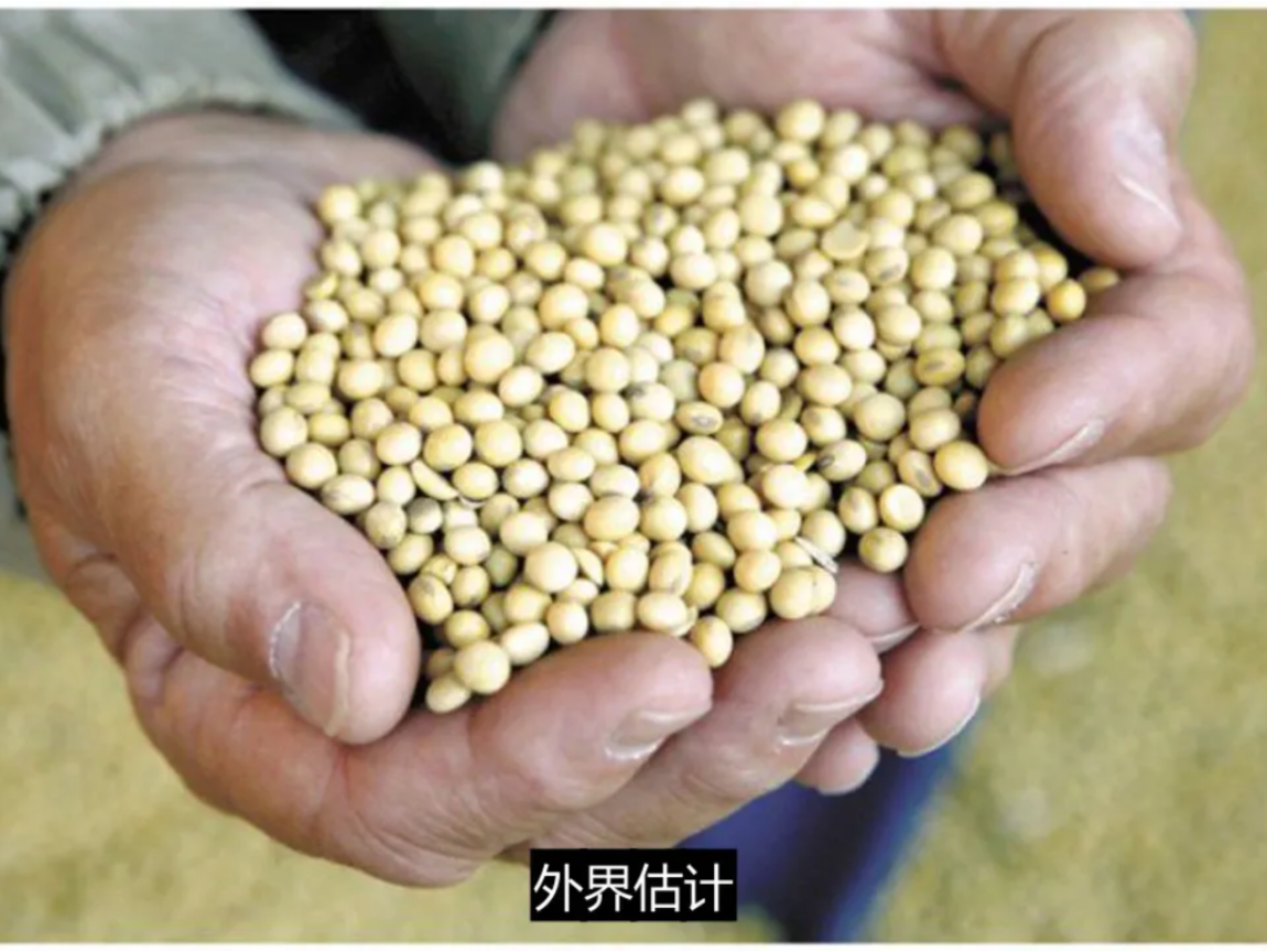中美貿易戰角力下，大豆成了角力場，中國改向巴西進口，但據稱價格貴了七成。 圖：翻攝自Youtube