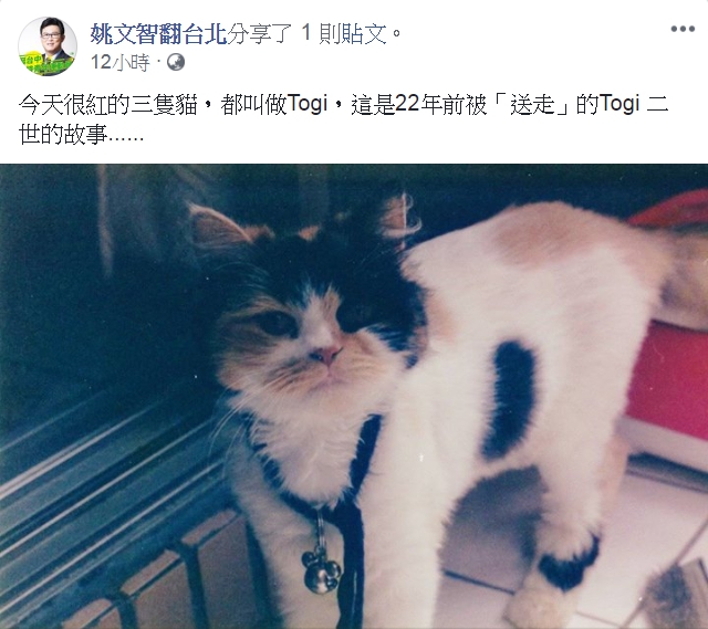 姚文智日前召開記者會曬貓挨批，友人便在臉書分享Togi的故事，引發網友迴響。 圖：翻攝姚文智臉書