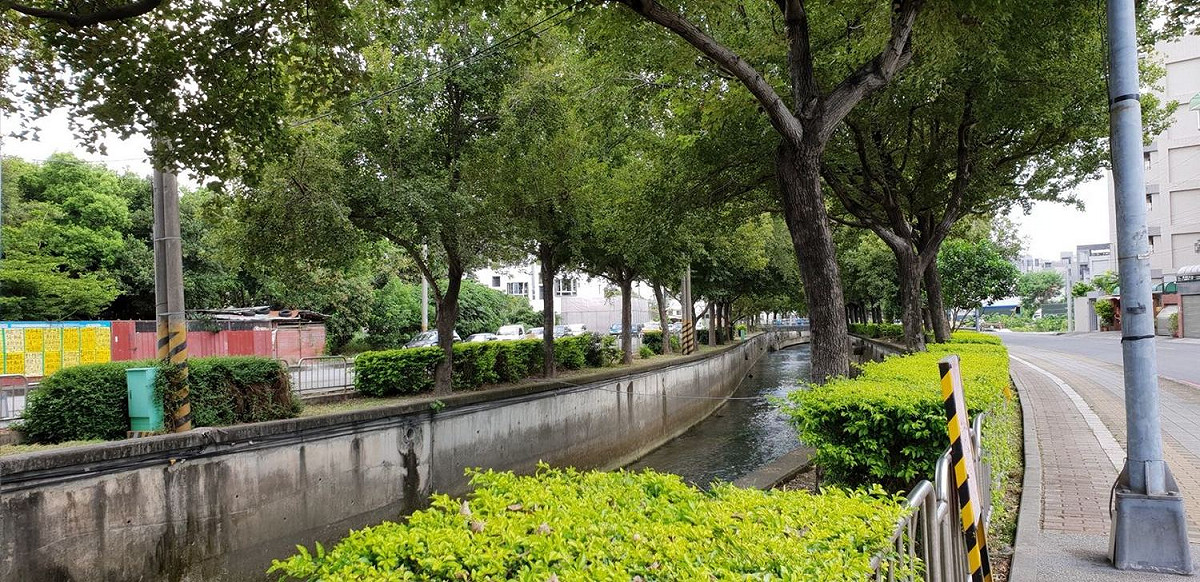 南屯區楓樹里擁有沿著南屯溪兩側種植的整排楓樹林，成為台中市著名的楓樹社區。 圖：台中市政府提供