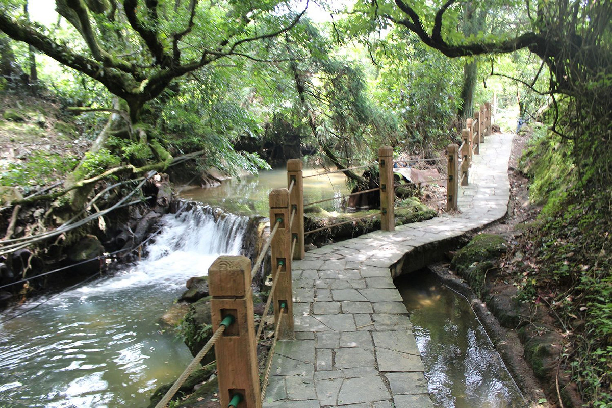 父親節就是陪爸爸走一趟親山步道！台北市工務局整理北市6大平緩好走的親山避暑步道。 圖：台北市工務局提供
