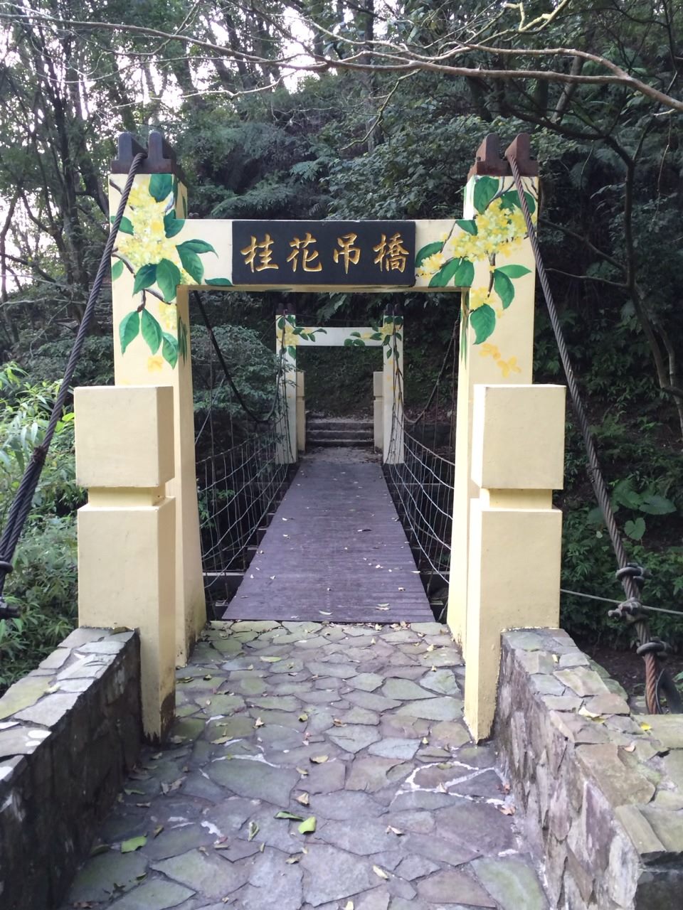 南港區舊莊里大坑溪上游有一條「桂花吊橋親水步道」，步道中還藏有一座「桂花吊橋」，吊橋下就可以聆聽橋下溪水與溪流景色。 圖：台北市工務局提供