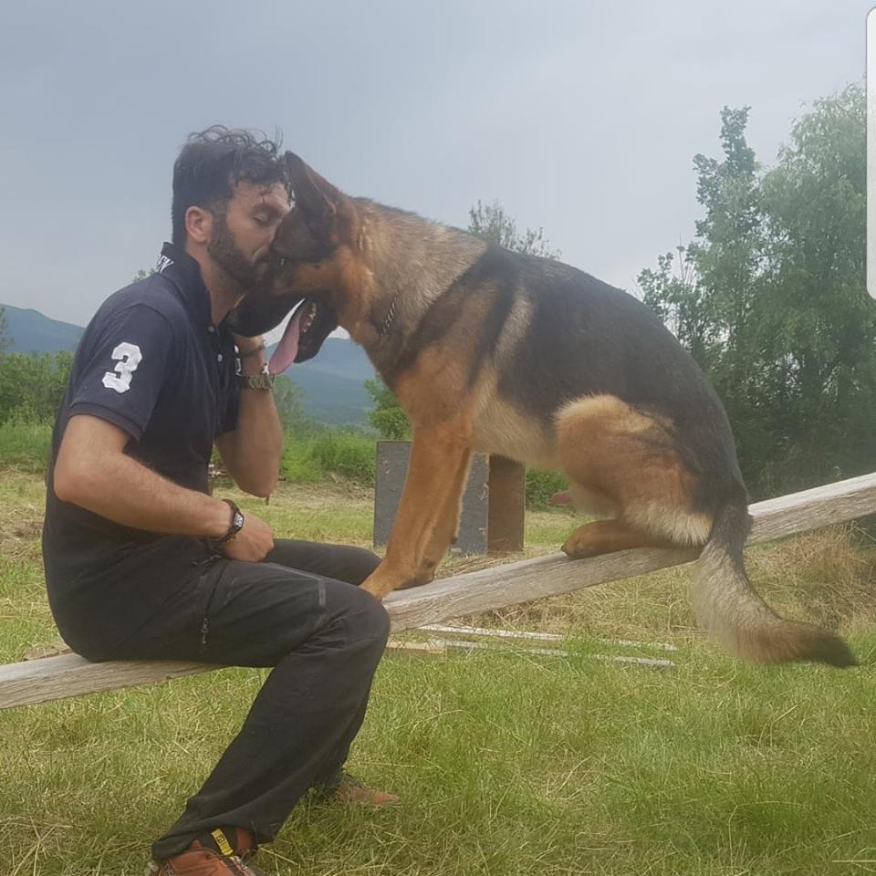 曾參與2016年8月義大利強震救災的德國牧羊犬考斯，與主人埃托雷感情深厚，卻不幸去世。 圖：翻攝埃托雷臉書