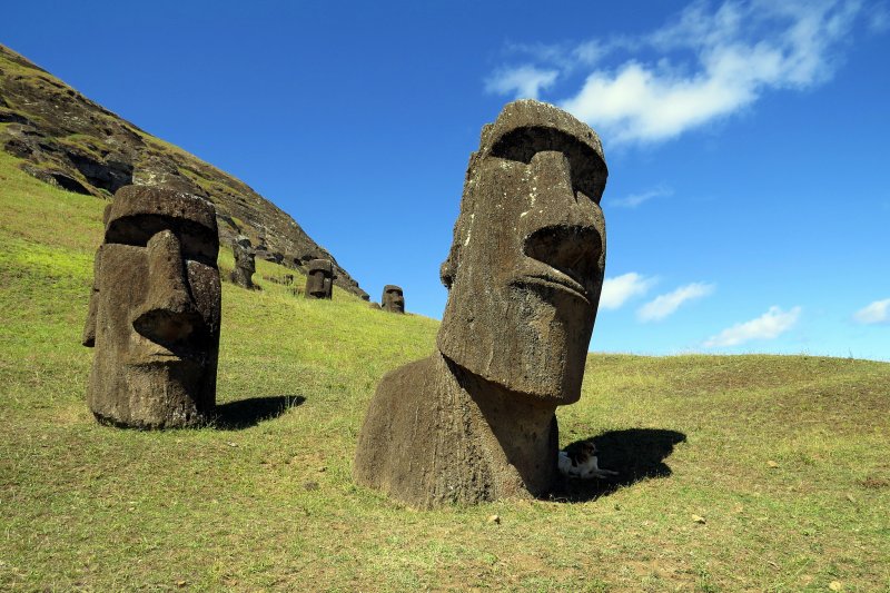 智利復活節島市長暨拉帕努依族(Rapa Nui)族長艾德蒙斯(Pedro Pablo Edmunds Paoa)應中華民國政府邀請，於本(107)年7月30日至 8月5日訪臺出席「2018年南島民族論壇」，並於昨至(3)日訪問蘭嶼，與蘭嶼雅美(達悟)族代表--蘭嶼鄉公所鄉長夏曼．迦拉牧簽署合作交流瞭解備忘錄締結姐妹族。 圖 : 翻攝自David_Bekowitz@flicker
