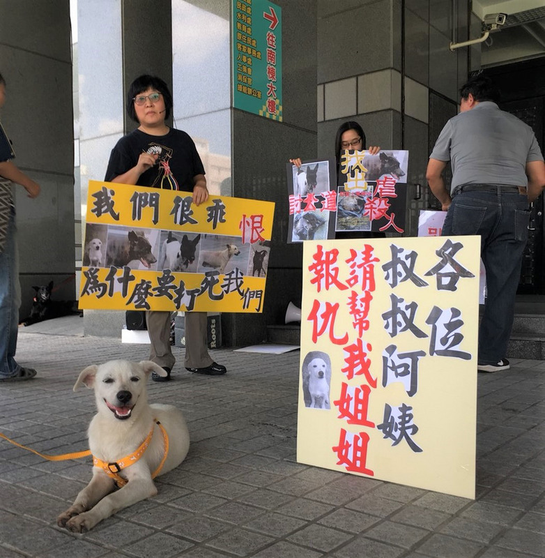 屏東麟洛運動公園4日清晨發生5隻流浪犬在公園內被打死，來自全台各地的動保人士10日在屏東縣政府前陳情，要求政府盡速緝兇。 圖/中央社