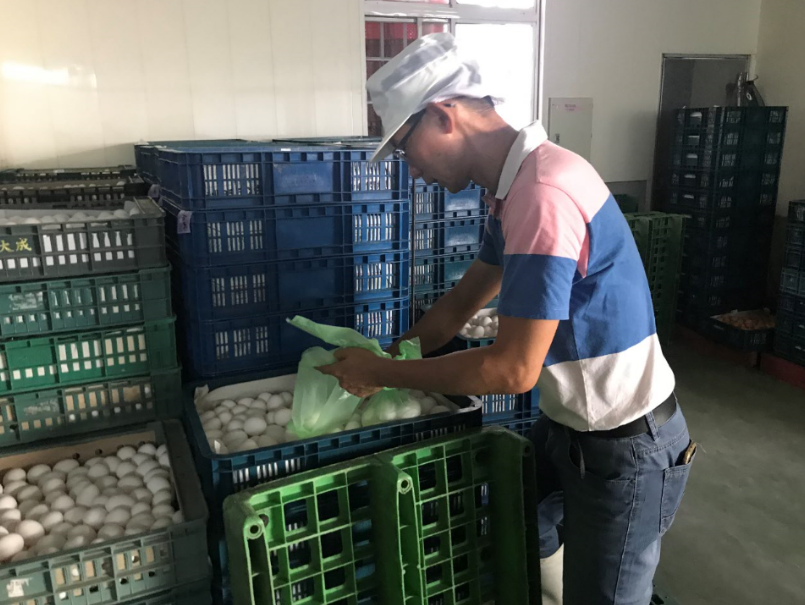 台中市食品藥物安全處配合中央食品藥物管理署進行液蛋製造業的聯合稽查。 圖：台中市政府/提供