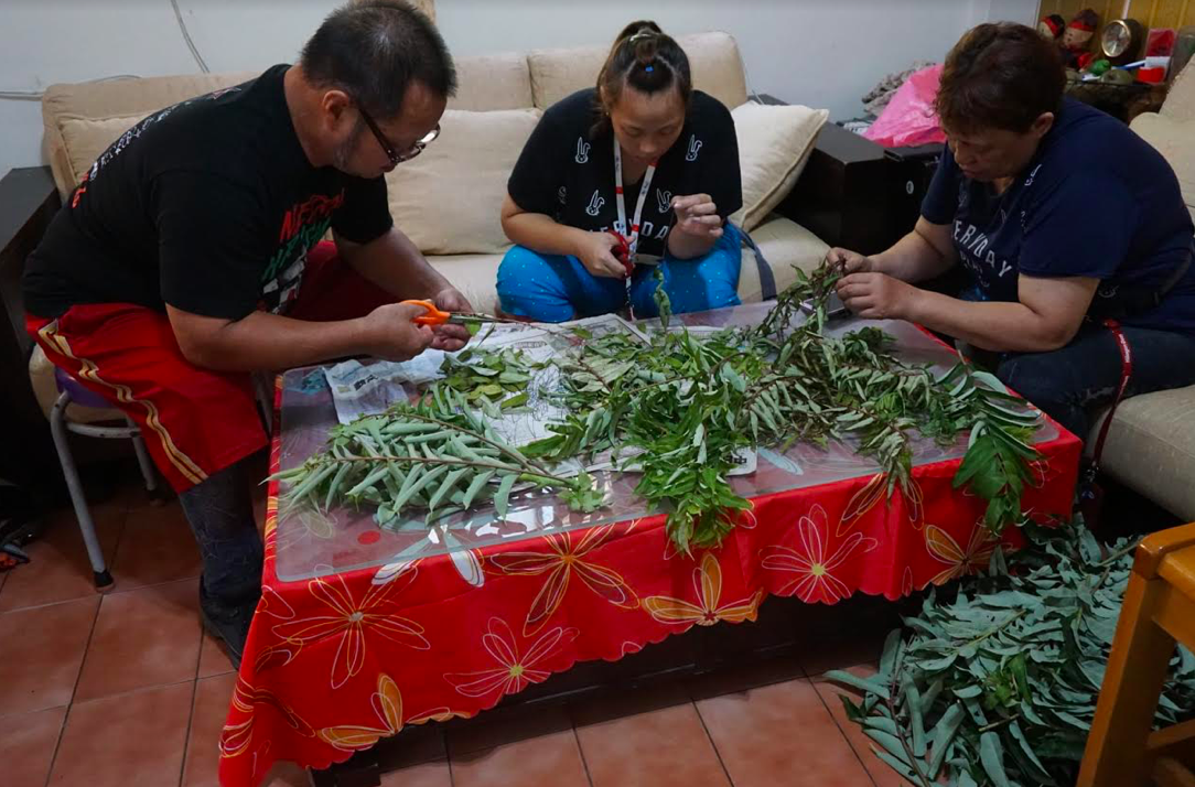 圖為辛香料蔬菜之王之稱的「刺蔥」！ 圖：新北市家扶中心/提供
