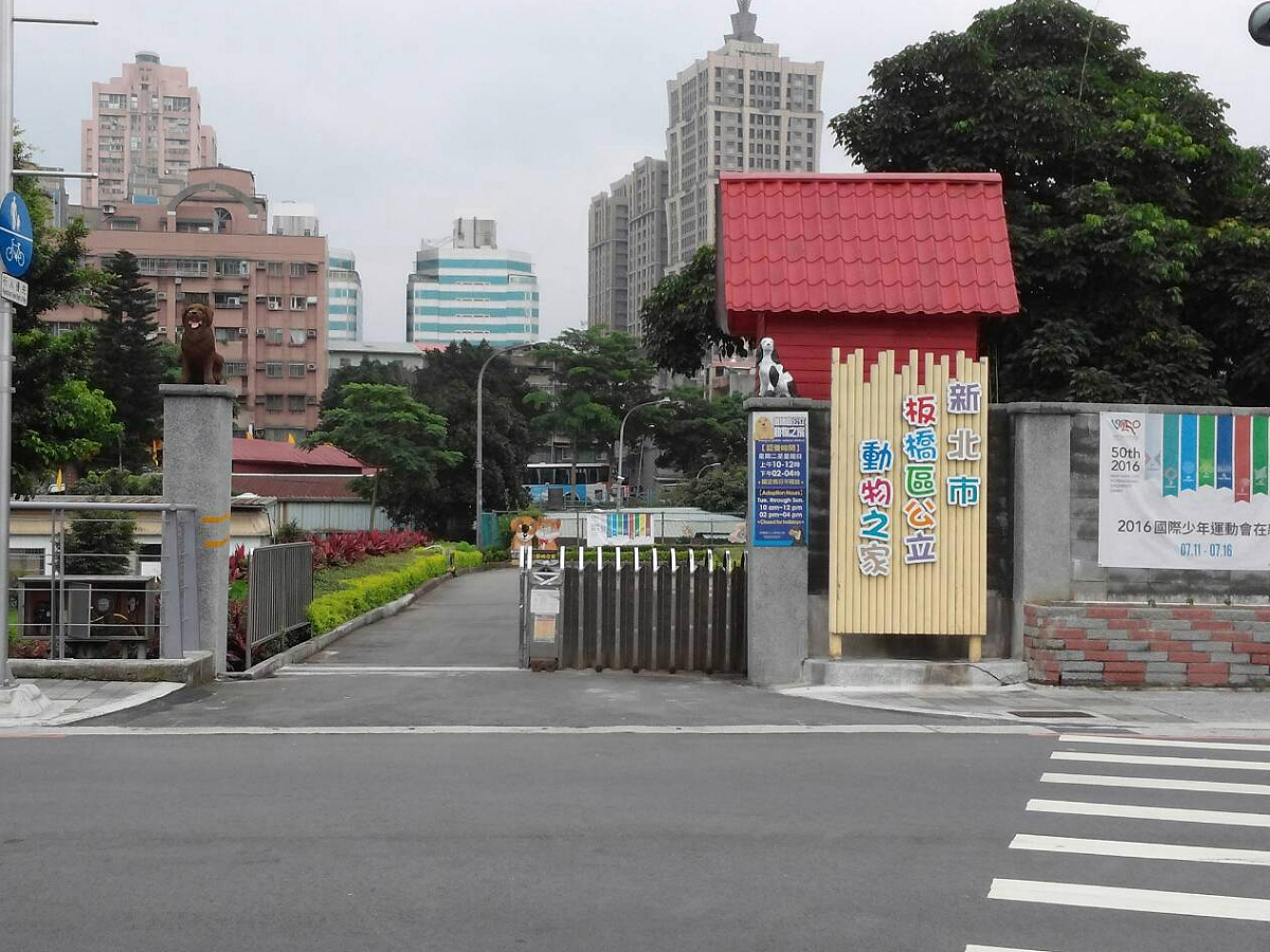 動保處及新北市毛小孩關懷協會將於8月24日10點到17點，與新營妙法禪寺副住持上圓下湛法師一起合辦「新北市動物之家聯合超薦祈福法會」，地點位於板橋動物之家。 圖：翻攝自新北市觀光旅遊網