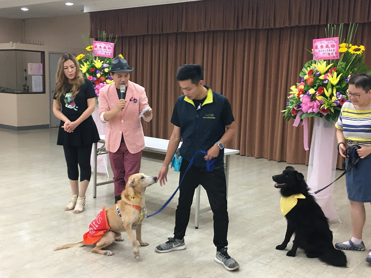 動保處訓犬師示範訓練犬隻指令動作。 圖：臺北市動物保護處提供
