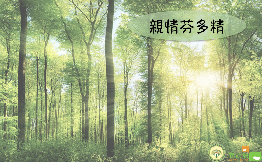 親情芬多精   新頭殼/製作
